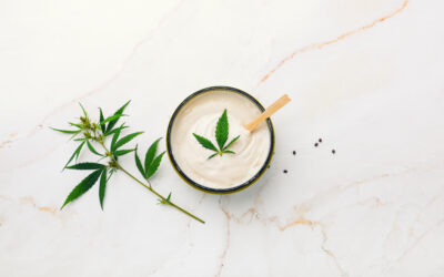 What is CBD Cream? A Beginners Guide