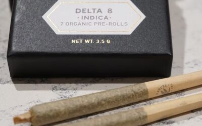 Delta 8 vs. Delta 9 – What are the Differences?