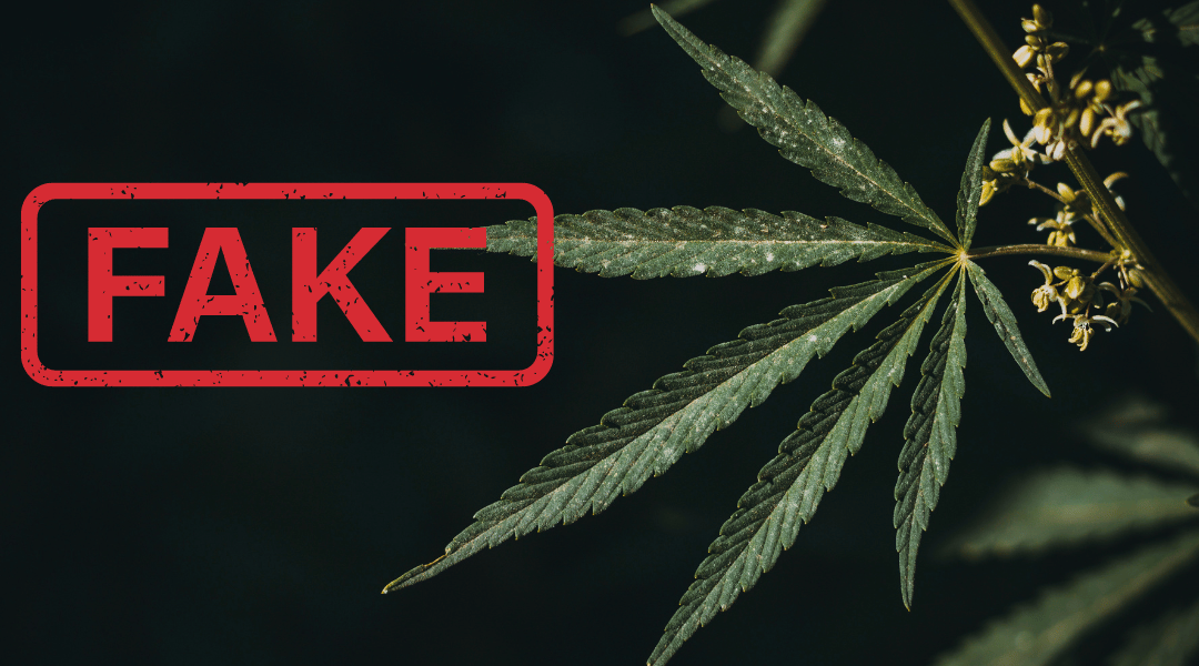 5 Ways to Identify Fake CBD Products
