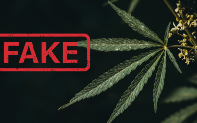 5 Ways to Identify Fake CBD Products