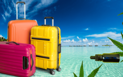 Is It Legal to Travel in the United States With CBD?