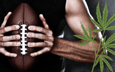 NFL Invests in CBD Research as Opioid Alternative