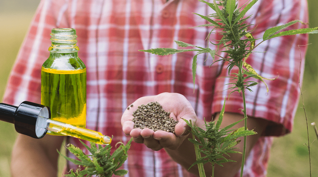 The Difference Between CBD and Hemp Seed Oil