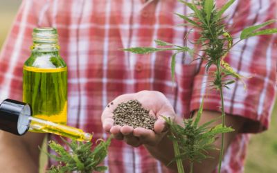 The Difference Between CBD and Hemp Seed Oil