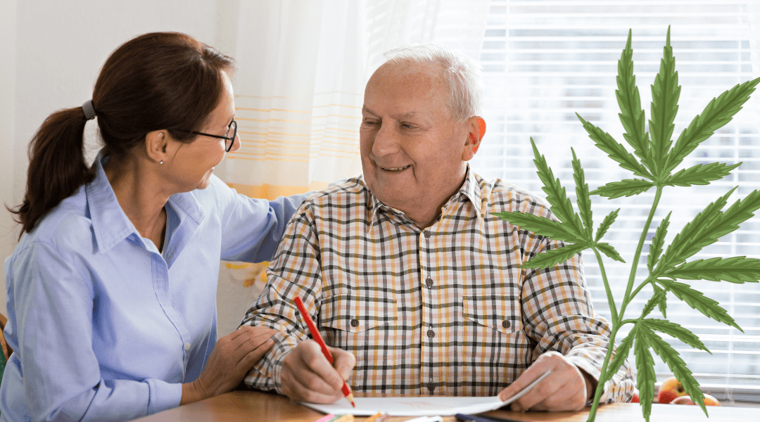 Can CBD Be the Key to Preventing Cognitive Decline?